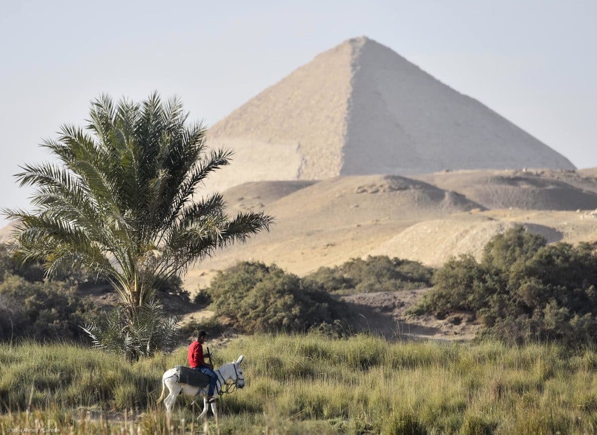 Cairo and Giza Flexible Private Day Tour gallery 3