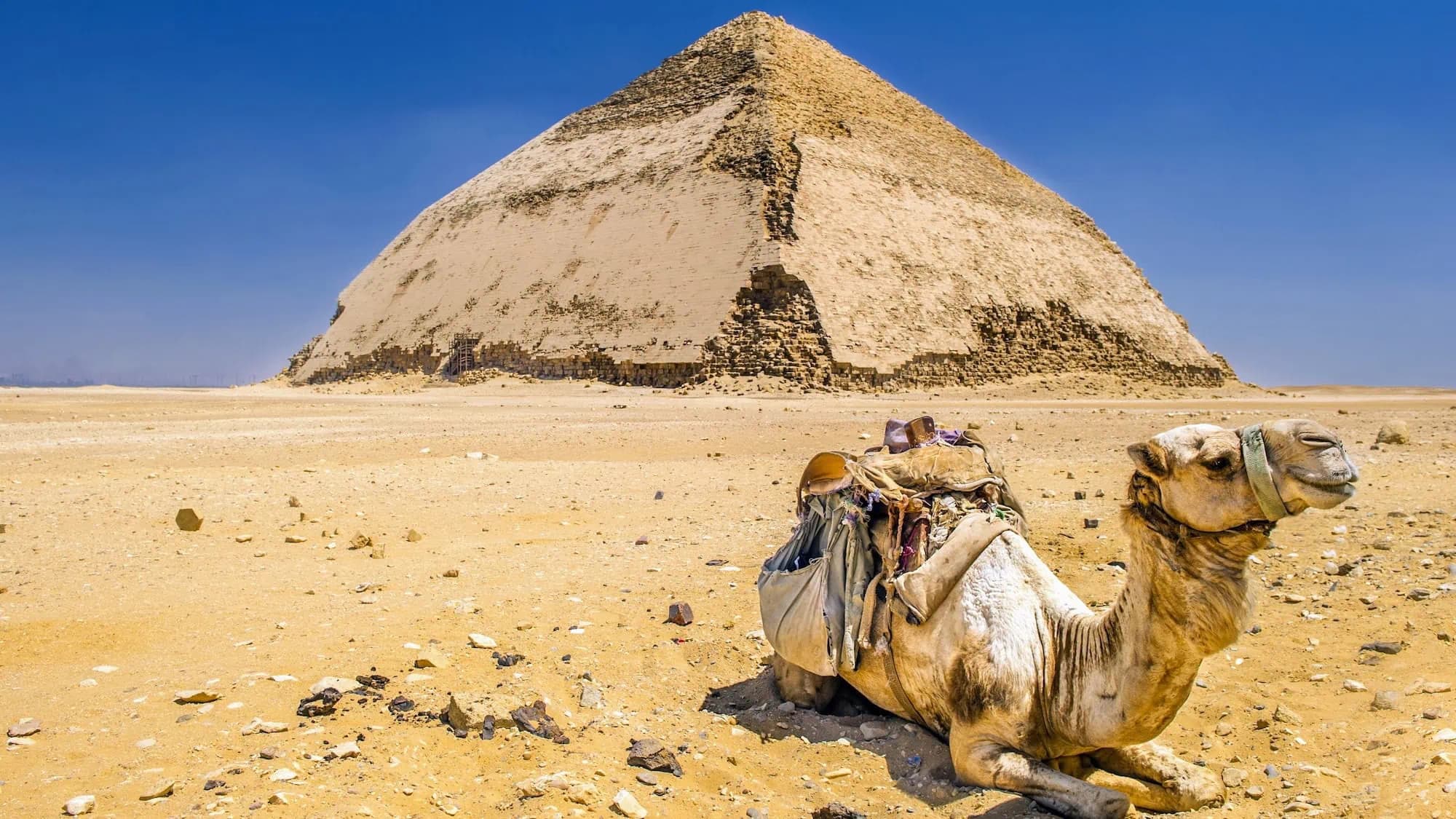 Cairo and Giza Flexible Private Day Tour gallery 4